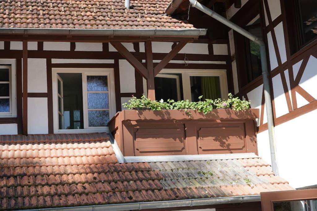 דירות גנגנבאך Haus Nilson מראה חיצוני תמונה